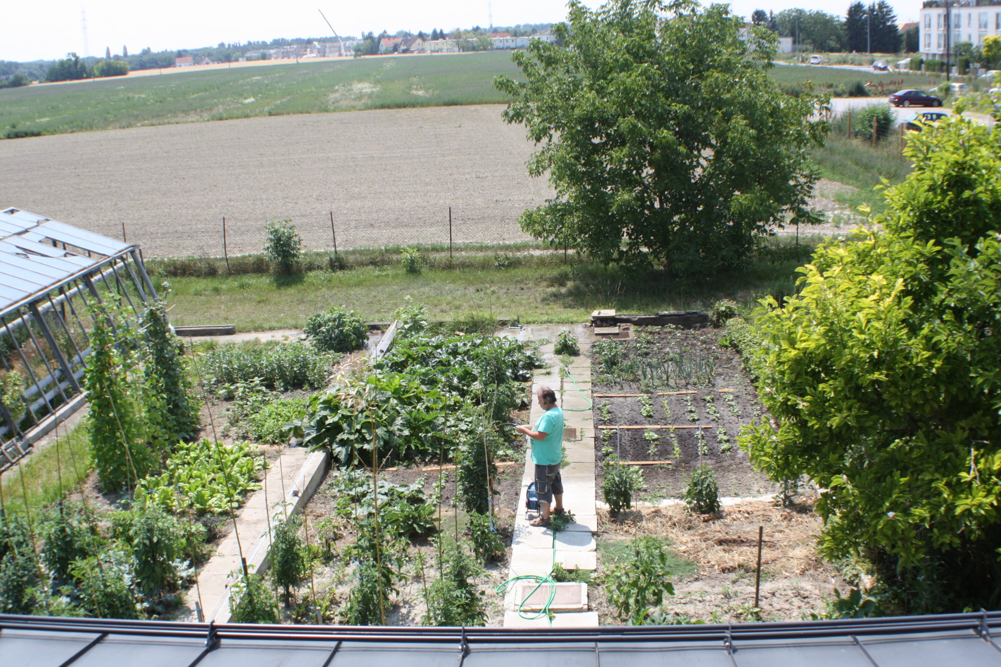 Gepflegter Gemüsegarten Bio Forschung Austria