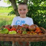 Tomaten aus dem Garten der Vielfalt © Bio Forschung Austria