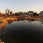 Wechselkrötenbiotop Ende November 2018 © Bio Forschung Austria